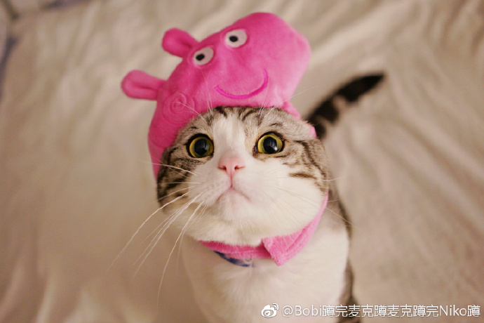 一镜到底 — 手作工坊·高能版 缩略图