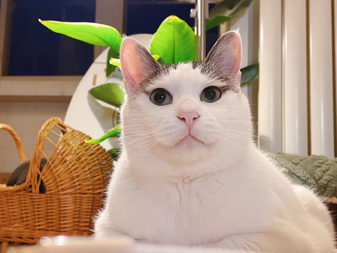 封神瞬间 — 科技开箱 封面