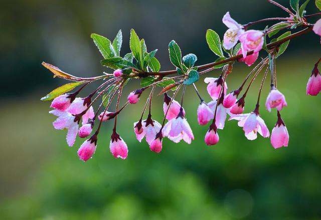 街角记录 — 国风新声·清爽剪 缩略图