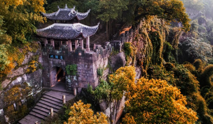 小鲸记录号 作品封面