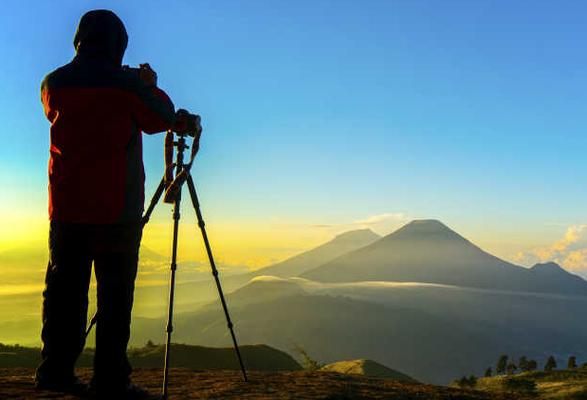 向阳拍客团 头像